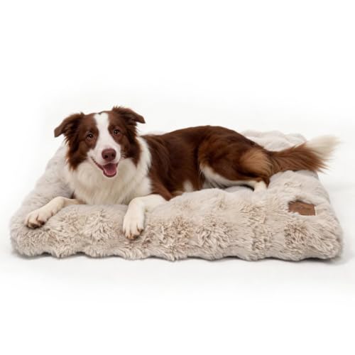 BingoPaw Panier Chien Grande Taille: 90x60x10cm Coussin Chien Déhoussable et Lavable en Machine, Tapis Matelas Lit Imperméable, Tissu Peluche Doux, Beige