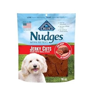 Blue Buffalo Nudges Jerky Cuts Dog Treats, Made in the USA with Natural Ingredients, Steak, 16-oz. Bag