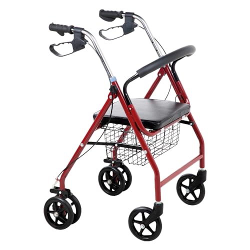 andaderas adultos Marca B BIG ROOM