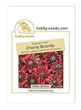 Blumensamen Cherry Brandy Sonnenhut Portion