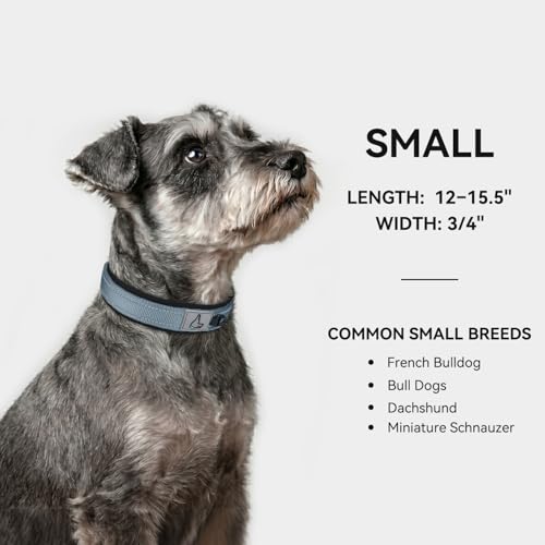 Image of Joytale Dog Collar for Small Dogs, Neoprene Padded and Adjustable, Reflective Wide Heavy Duty Pet Collars with Durable Metal Belt Buckle for Walking, Gray, S