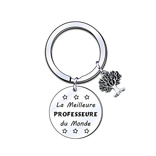 ZYMGUO Per Professor Cadeau,Portachiavi in acciaio inox argentato, regalo di consegna, portachiavi, per La Meilleure Professure du Monde, argento, L
