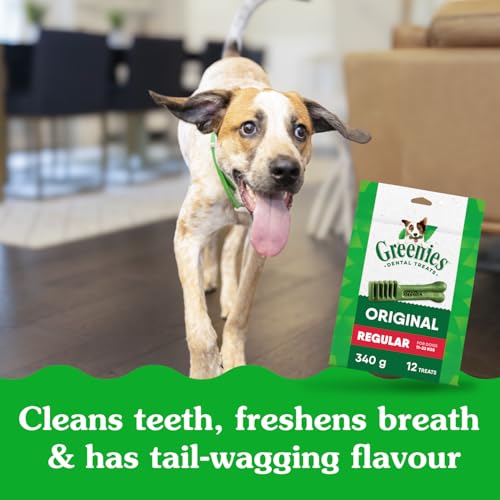 GREENIES Dog Treats Original Regular Natural Dental Care, (36 Treats) 36 oz. Pack image 4