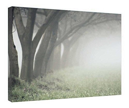 Toile encadrée forêt mystique décoration poétique maison