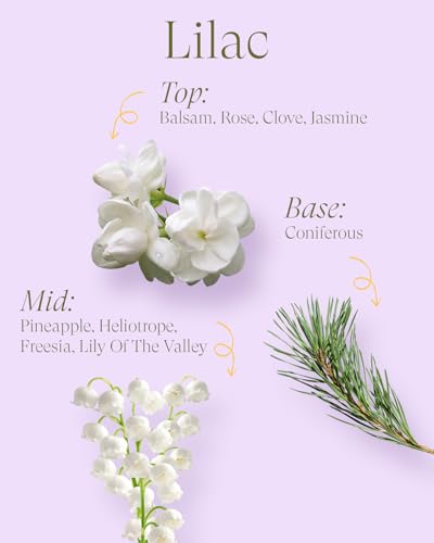 Image of M&SENSE Dual-Wicks Lilac Scented Candles 12oz | 2 Wick Spring Soy Candle, Natural Soy Wax, Floral Scented, Mother's Day Candle, Birthday Candle for Women