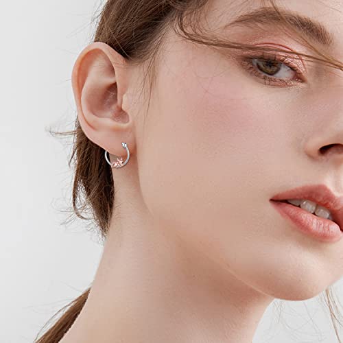 Cute Animal Hoop Earrings 925 Sterling Silver Jewelry Birthday Gifts for Women2