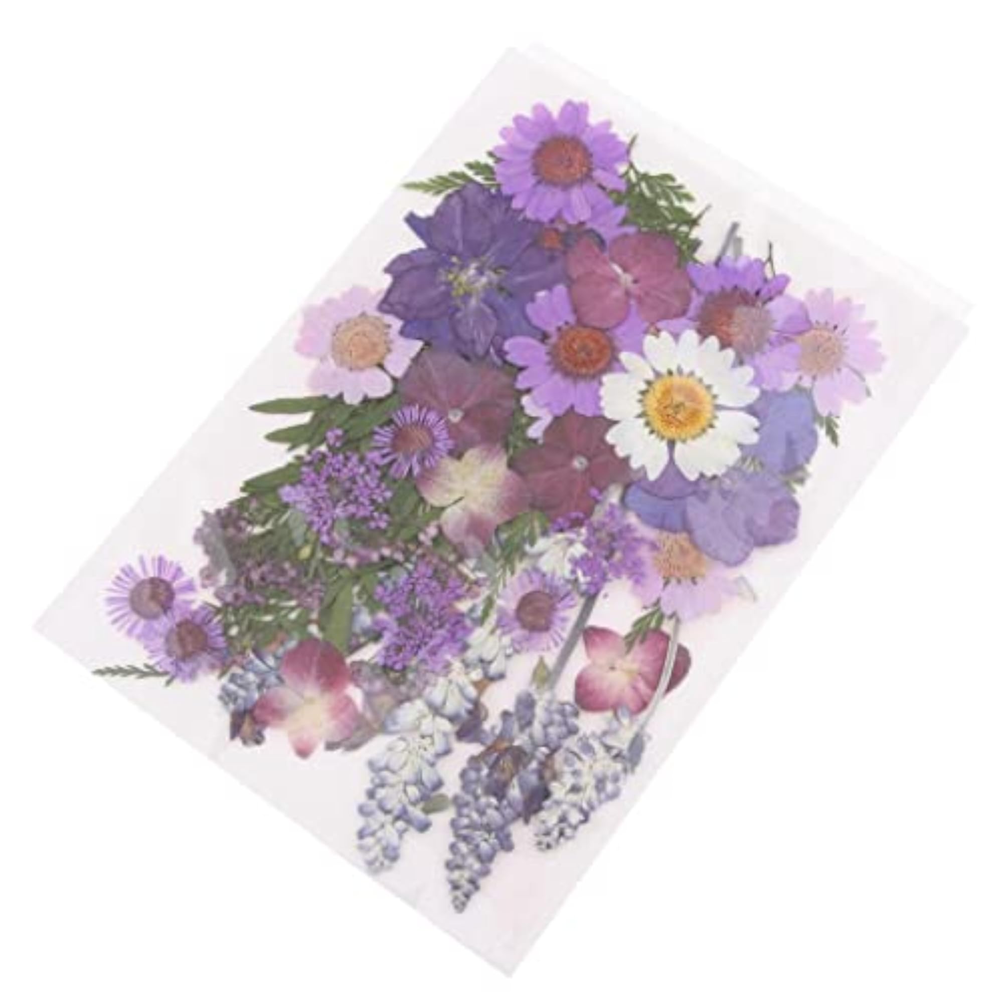Multiple Mix Natural Pressed Dried Flowers for Crafts