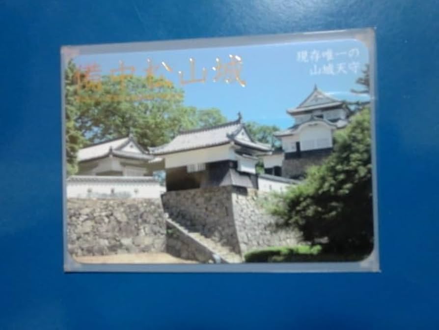 日本100名城カード　九州13城まとめ売り 日本100名城カード 九州13城まとめ売り Amazon.co.jp: 日本100