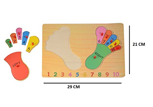 Image of Foot Premium Wooden Puzzle /Educational Toy with Knobs for Children