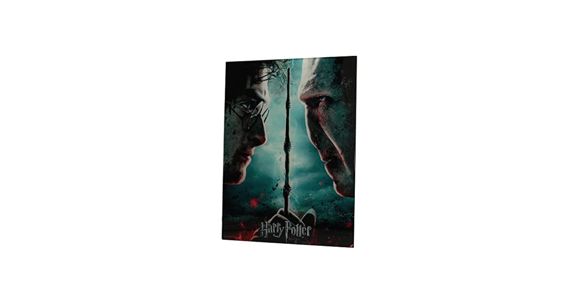 Amazon.com: SD Toys Harry Potter and Voldemort Poster