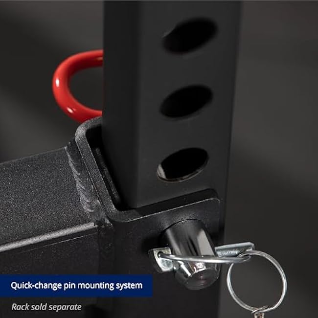 Titan Fitness T-2 Series Y-Dip Bar, Rack Mounted Dip Attachment, 550 LB Capacity, Fits 2 x 2 Tubular Steel