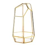 √3.Dieser schöne Terrarientopf in Kugelform ist einfach und vielseitig, schafft eine modische Atmosphäre und macht Ihr Leben poetischer und entspannender.