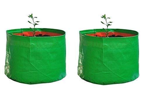 See full amazon price history chart for YUVAGREEN Heavy Duty Terrace Gardening Leafy Vegetable Green Grow Bag (18" X 12") - (Pack of 2) YUVAGREEN Heavy Duty Terrace Gardening Leafy Vegetable Green Grow Bag (18" X 12") - (Pack of 2) (B09FFMM43V) Amazon Price History, Amazon Price Tracker