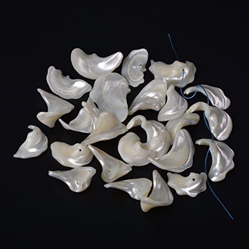 Image of 100 grams Small Tumbled Chips Polished Crushed Stone Crystal Healing Embellishments