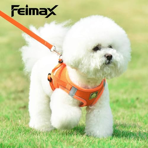 Image of FEimaX Dog Harness and Leash Set Puppy and Kitten Vest Reflective for Safe