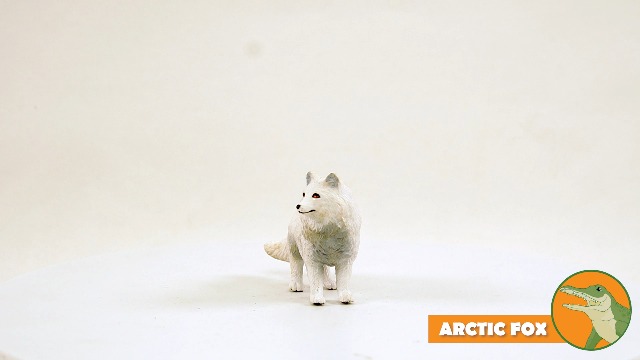 Amazon.com: Safari Ltd. Arctic Fox Figurine - Detailed 3.25