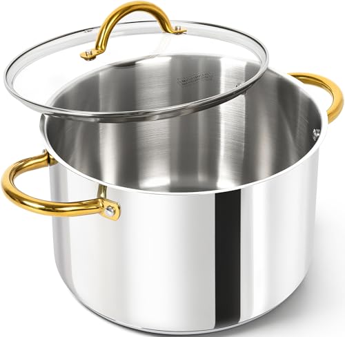 MICHELANGELO Stainless Steel Stock Pot - 8L Soup Pot with Lid, Induction Compatible, Riveted Handle