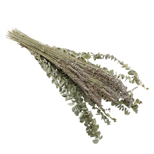 Ramo Seco de Hojas de Eucalipto y Lavanda Luxshiny miniatura 1
