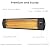 blessny Outdoor Heater for Patio, 1500W Wall Mounted Electric Infrared Heaters for Garage, Workshop, Greenhouse, 24 Hours Timer with Remote Control, IP65 Waterproofed