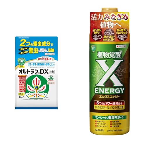 yZbgzZFw| E IgDX 1kg Zڍs AuV RKlVc + oCIXeB~g͉t X-ENERGY(GbNXGiW[)600ml