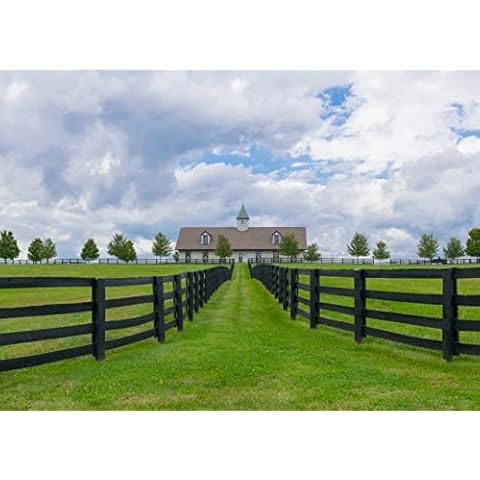 CORFOTO 8x6ft Fabric Farm Theme Backdrop Black Wooden Fence Green Grass Field and Farmhouse Photography Background Baby Shower Cowboy Kids Birthday Party Banner Photoshoot Studio Props Cover