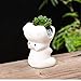Gemseek Cute Hippo Succulent Planter Pot with Drainage Tray, Small White Ceramic Cactus Flower Container, Animal Shaped Indoor Air Plants Holder