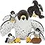 Falcon Families