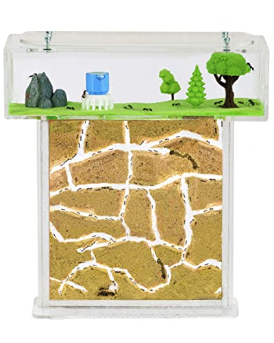 AntHouse - Natural sand ant farm - Acrylic T Kit 15x15x1-5cm