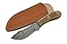 Szco Supplies Rite Edge Damascus Ram Skinner