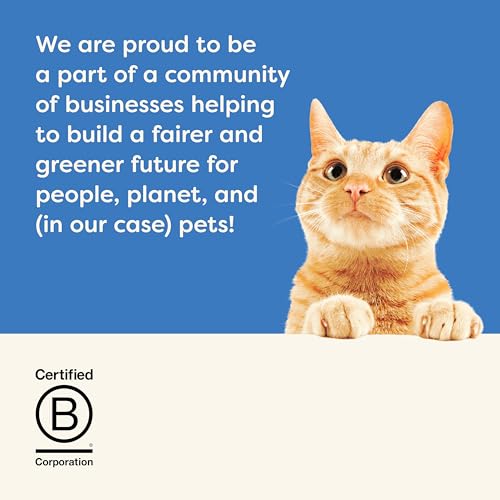 Applaws Premium Natural Katzenfutter Nass, Thunfischfilet mit pazifischer Garnele in Brühe 70g Portionsbeutel (12x70g )