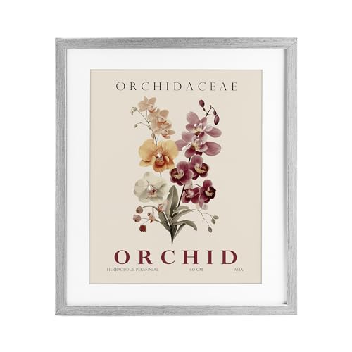 'Natural Orchid Bundle'| Framed Print Under Glass