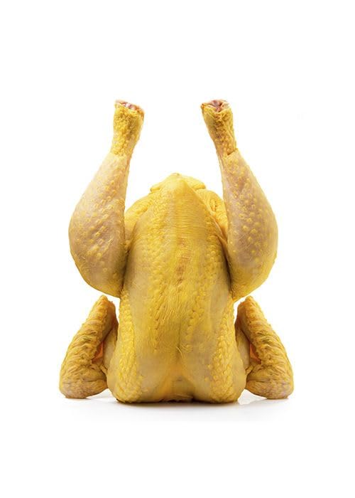 Pollo de Corral Gallego, Pollo Entero de Raza Rústica, Alimentación 100% Vegetal con Maíz, 2.20kg, Crianza en Semilibertad, Certificado Galicia Calidade, Rico en Proteínas, Hierro, Fósforo y Potasio