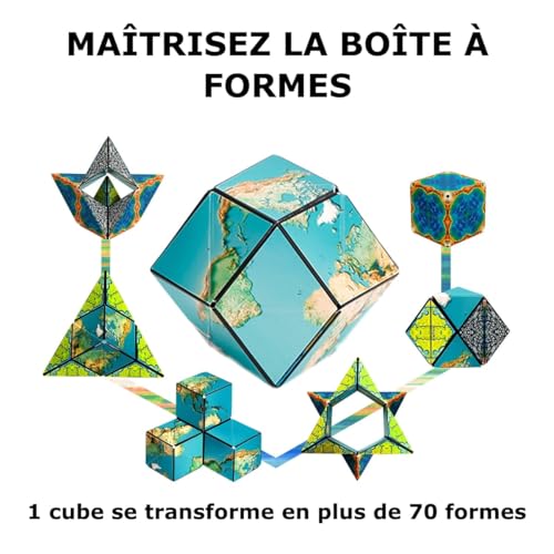Shashibo Cube – Édition "Earth"
