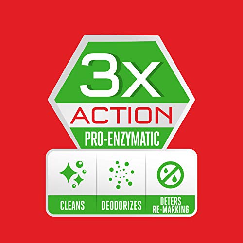 image for Rug Doctor Triple Action Deep Carpet Cleaner For Pet Stains, Eliminate