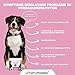 PetPro PHARMA - Probiotic Pro – Verdauungsgesundheit & Immunstärkung für Hunde & Katzen – Mit Probiotika, Präbiotika & Verdauungsenzymen – Ergänzungsfutter,120 Kautabletten, 360 g.
