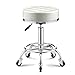 Obrotowy stołek o regulowanej wysokości Okrągły stołek na kółkach, stołek kreślarski Krzesło do salonu medycznego SPA Esthetician Studio (biały)