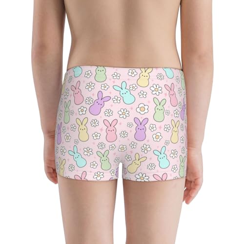 Boys' Cotton Boxer Brief Soft Underwear-Colorful Bunny3