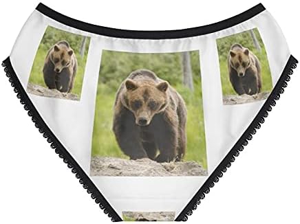 Grizzly Bear Panties, Grizzly Bear Underwear, Briefs, Cotton Briefs, Funny Underwear, Panties For Women