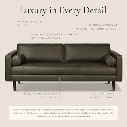 Image of Poly & BARK Napa 88.5 inch Leather Sofa - Full-Grain Italian-Tanned Aniline Leather, Feather-Down Comfort, Solid Wood Frame, Walnut Legs, Olivine Green