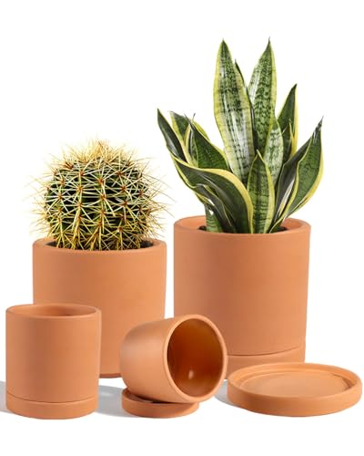 vensovo Terracotta Pots with Drainage and Saucers - 3.5/4.2/5.2/6...