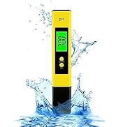 新たな命、開かれる道 ORP 51qv2PK3pNL._AC_UF350,