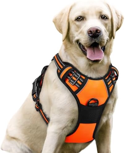 Reflective Harness & Leash Set