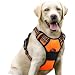 rabbitgoo Front Range Dog Harness No-Pull Pet Harness Adjustable Outdoor Pet Vest Reflective Oxford Material Vest for Dogs Easy Control for Small Medium Large Dogs (Orange, L)