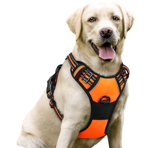 Image of rabbitgoo Dog Harness No Pull with 2 Leash Clips, Adjustable Soft Padded, Reflective Oxford No Choke Pet Vest with Easy Control Handle for Large Dogs,Orange,L