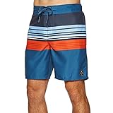 Protest Herren Beachshort Baxter Airforces L