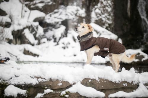 Wolters Cat&Dog 49014 Parka mit Fellkragen 36 cm, braun
