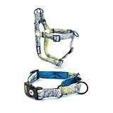Wolfgang Medium Harness and Martingale, DawnPatrol Print, Dog Bundle Set