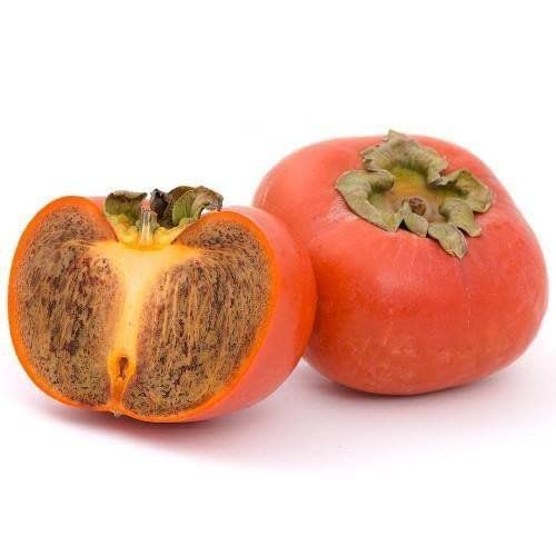 Muda de Caqui Chocolate ou Giombo Enxertado para Produzir
