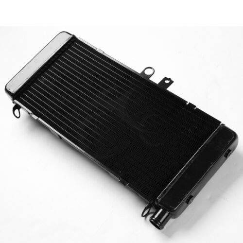 TERAM LOISIRS Radiatore compatibile per Honda CB 900 919 F Hornet 2002 2003 2004 2005 2006 2007/19010-MCZ-003