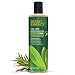 Desert Essence, Daily Replenishing Shampoo, Tea Tree, 12.9 oz